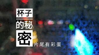 甘肃饭店爆料视频大全集,揭秘幕后真相与行业内幕 第1张 甘肃饭店爆料视频大全集,揭秘幕后真相与行业内幕 第1张